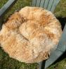 Nid relaxant beige caramel marbr 50 cms