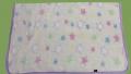 Plaid Rain�s Paris (�toile)