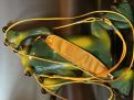 Laisses modle 2025 jaune d or made in france