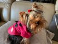LE DUFFLE COAT RAINS rose une epaisseur Rains